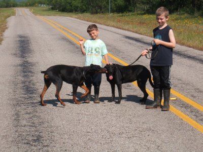 black and rust female with boys