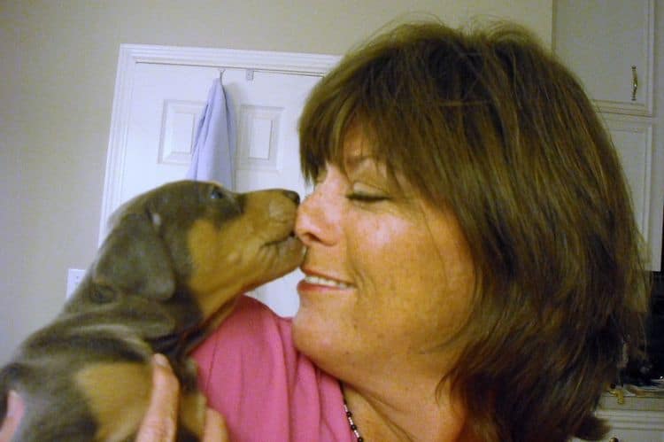 doberman puppy kisses