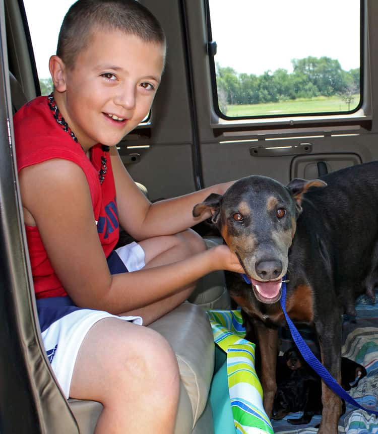 children with doberman puppies