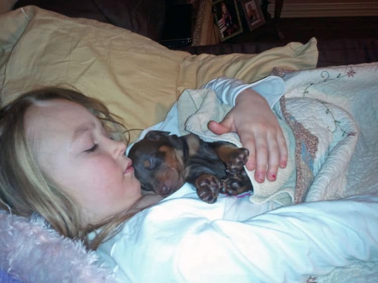 children with doberman puppies