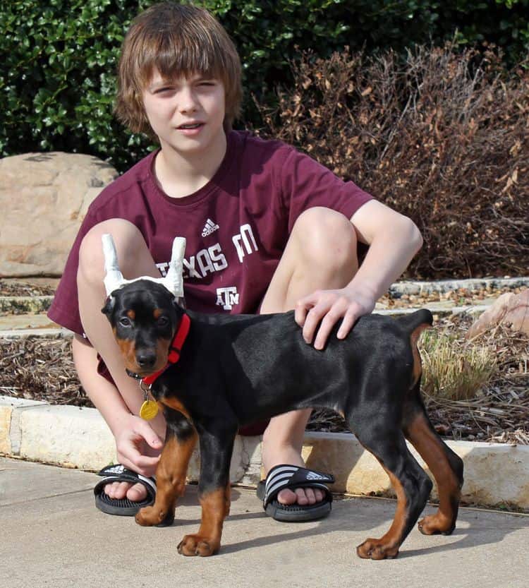 children with doberman puppies