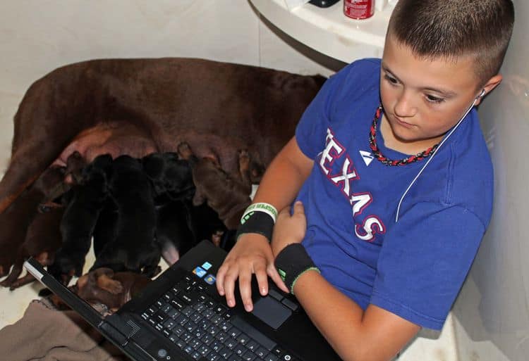 children with doberman puppies