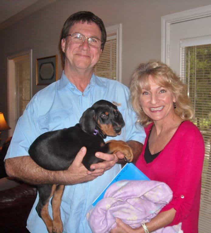 new owners with black and rust female doberman puppy