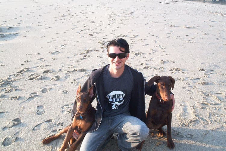 doberman pinscher