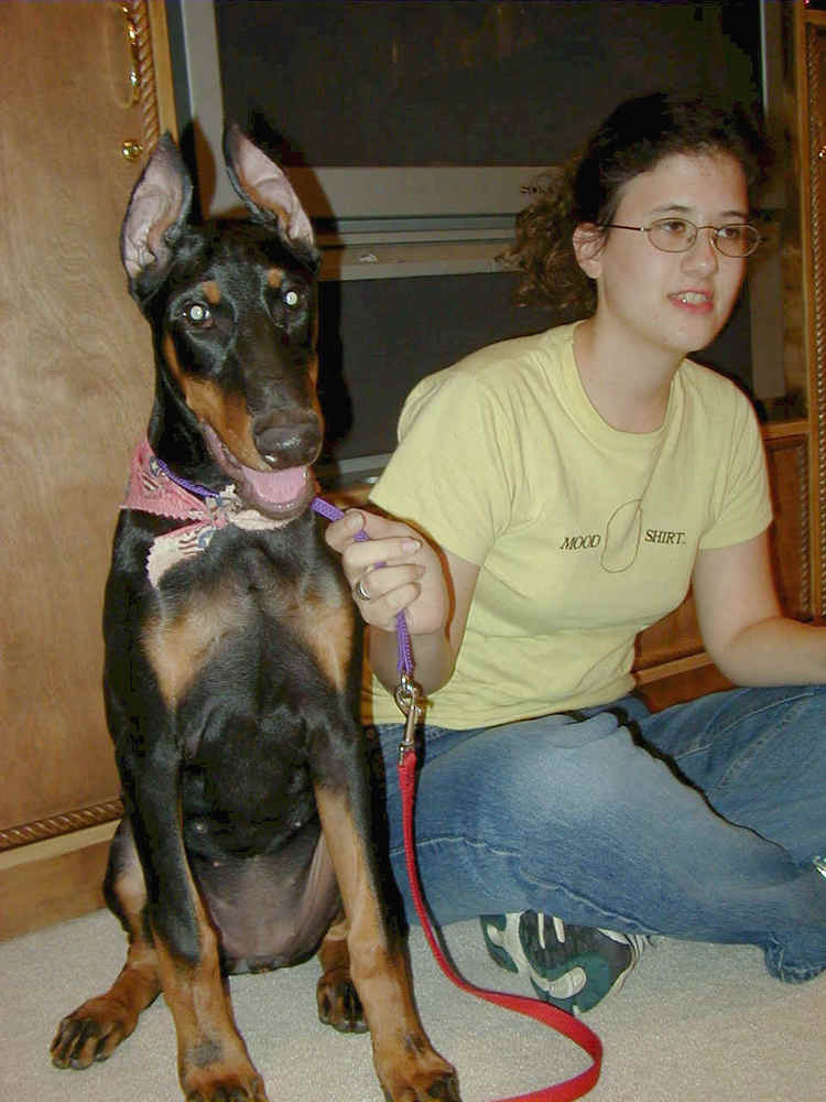 Dobe pup