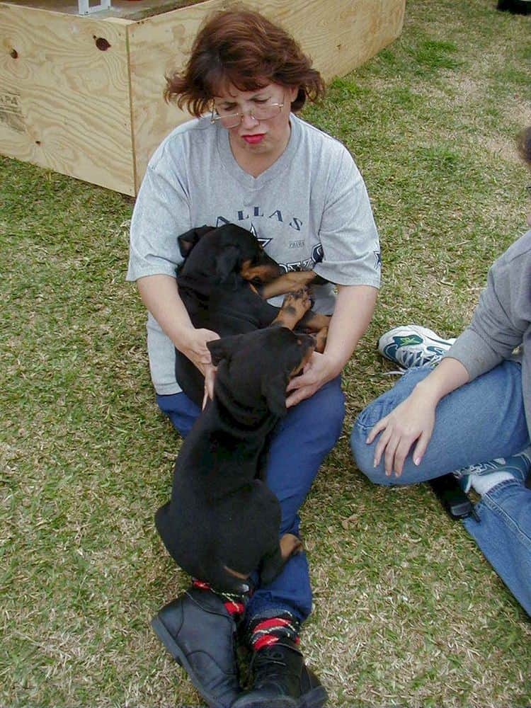 Dobe pups