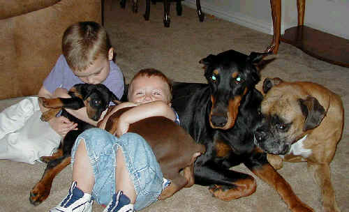 doberman mother with her pups and children