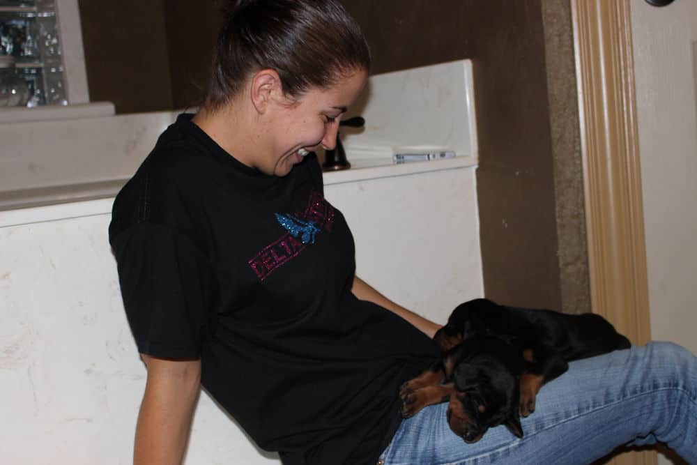 almost 3 week old black and rust male doberman puppies with owners