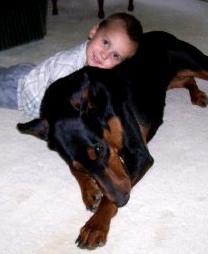 Doberman female with child