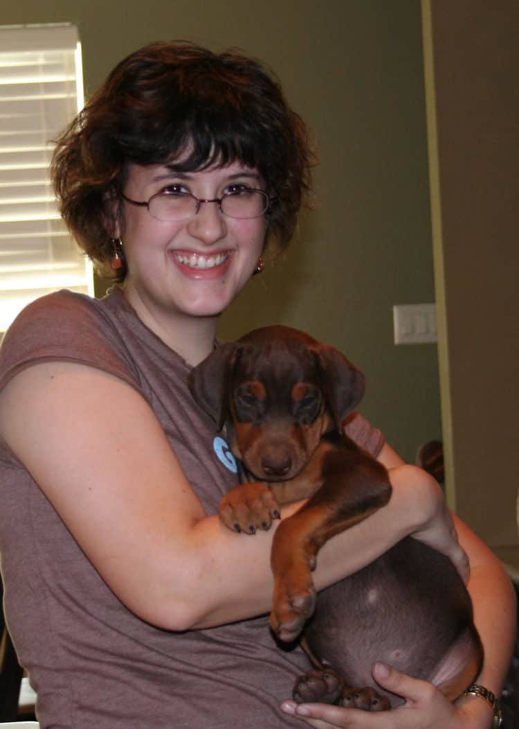 Dobie puppy